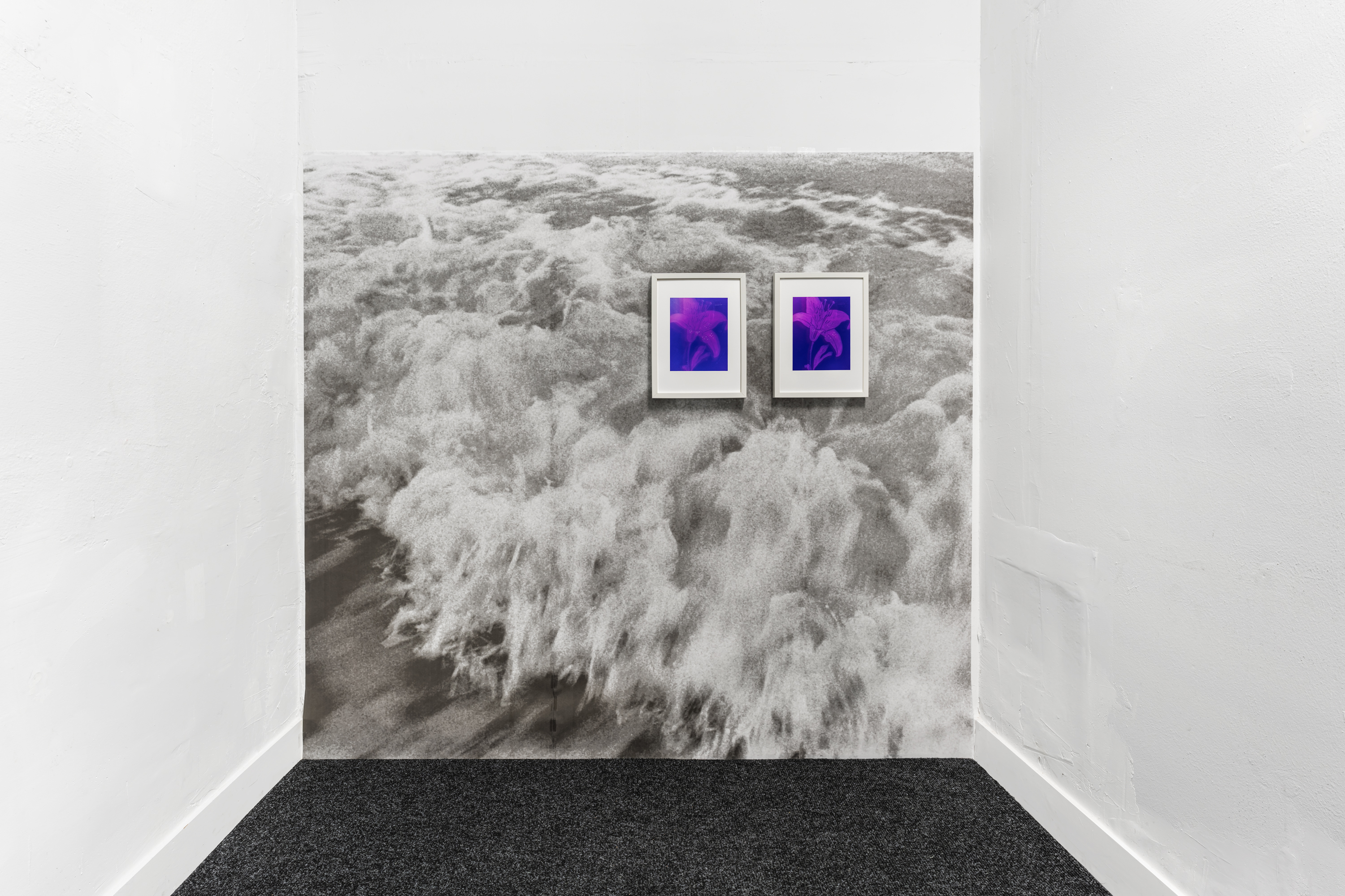 Installation view of Phillip Karp's work at MIX U, Kunsthalle Trotzdem
